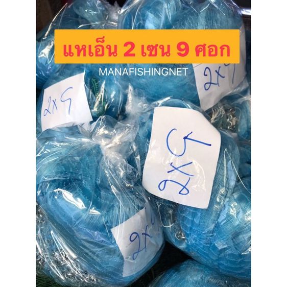 แหเอ็นดักปลา 2 เซน 9 ศอก รูปที่ 6