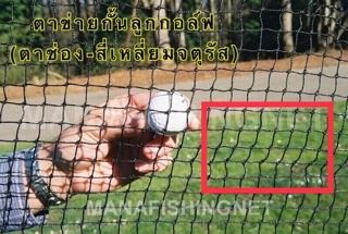 ตาข่ายไดร์ฟกอล์ฟ รูปที่ 5