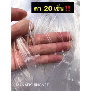 มองปลาสวายตา 20 เซ็น ลึก 6 เมตร รูปที่ 5