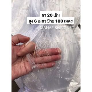 มองปลาสวายตา 20 เซ็น ลึก 6 เมตร รูปที่ 6