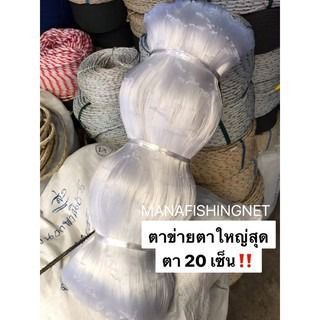 มองปลาสวายตา 20 เซ็น ลึก 6 เมตร รูปที่ 7