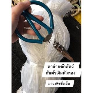 ตาข่ายดักตัวเงินตัวทอง รูปที่ 5