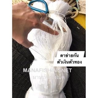 ตาข่ายดักตัวเงินตัวทอง รูปที่ 6