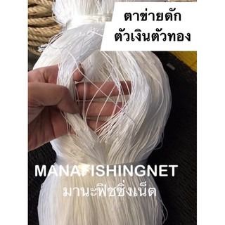 ตาข่ายดักตัวเงินตัวทอง รูปที่ 7