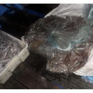 แหทอดปลาหมึก รูปที่ 2