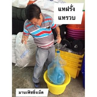 แหฝรั่ง งานแท้  รูปที่ 6