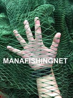 ตาข่ายกันนกพิราบ รูปที่ 6