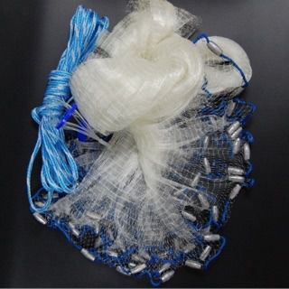 แหชักฝรั่ง จับหมึก รูปที่ 6