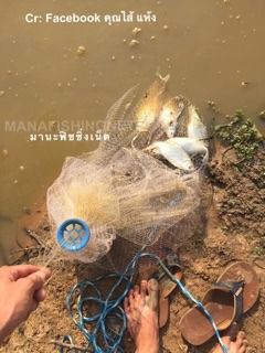 แหทอดหมึก งานแท้ รูปที่ 5