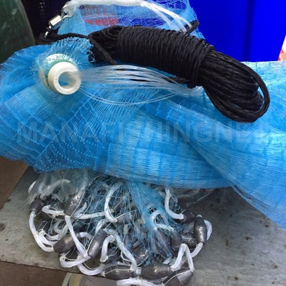 แหชักฝรั่ง 10 ฟุต รูปที่ 4