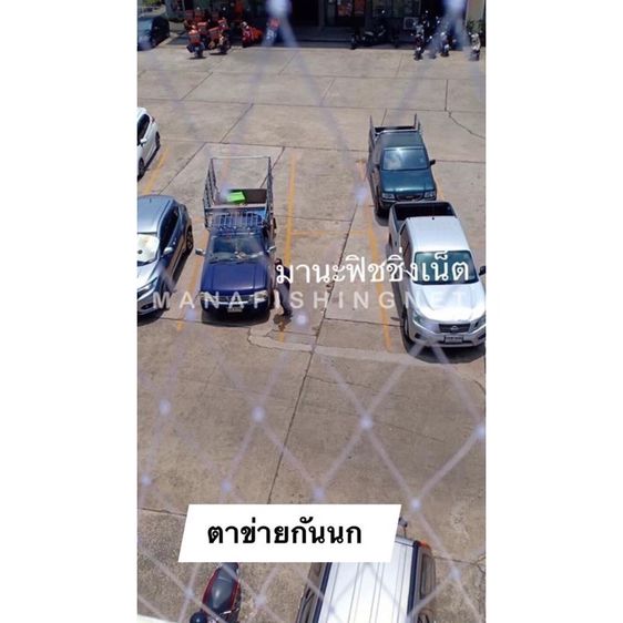ตาข่ายอเนกประสงค์ กันเลี้ยงสัตว์ รูปที่ 3