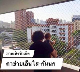 ตาข่ายเอ็นใสกันนก คุณภาพสูง รูปที่ 2