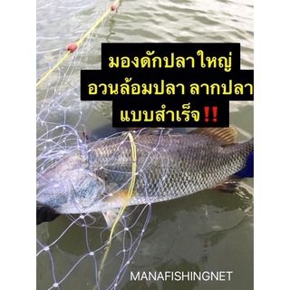 อวนดักปลาใหญ่ แบบสำเร็จ รูปที่ 4