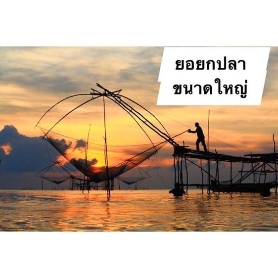 ยอด้ายยกปลา รูปที่ 3