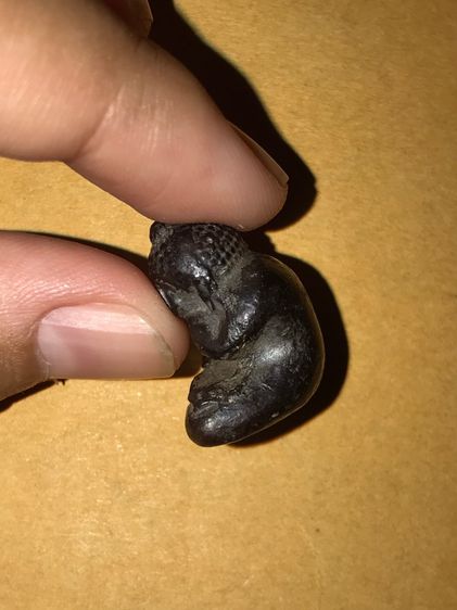 พระปิดตามหาลาภ เนื้อผง สีดำ รูปทรงสวยงาม เก่า แท้ หายาก ไม่รู้ที่ พระปิดตามหาลาภ เป็นพิมพ์พระปิดตา พระปิดตานั่งขัดสมาธิ ยกพระหัตถ์ขึ้นปิดพระ รูปที่ 7