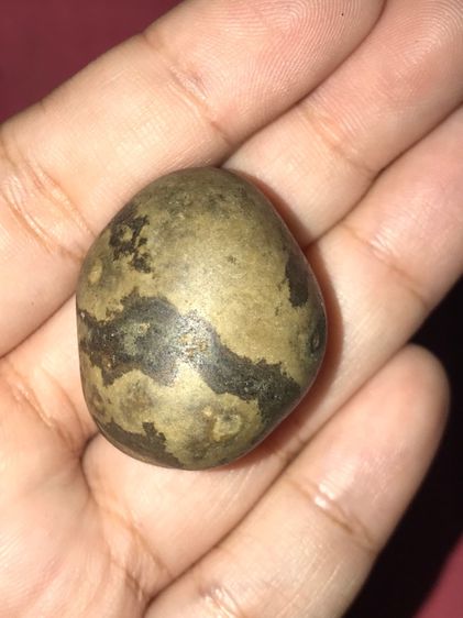 คตลูกยอ มีน้ำหนัก เก่า เนื้อแห้ง แข็ง ทรงบิดเบี้ยว ผิวเดิม เก่า แห้ง เป็นธรรมชาติ สภาพสวยงาม ผิวมันอายุหลายๆสิบปี เก่า แท้ หายากมากๆ คตชนิดน รูปที่ 6