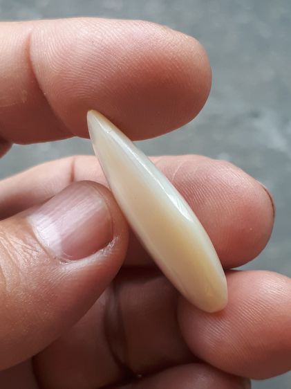 เปลือกหอยมุกทรงหยดน้ำ กลมรี เนื้อสีขาวเหลือบแสง มีลวดลาย เป็นธรรมชาติสวยงาม เนื้อแห้ง แข็ง ผิวมัน ขนาดเล็ก มีน้ำหนัก เก่า เนื้อแห้ง แข็ง อาย รูปที่ 5