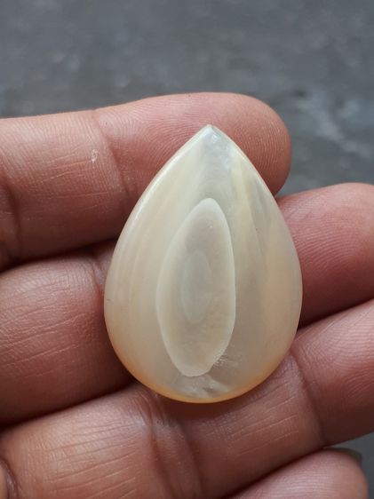 เปลือกหอยมุกทรงหยดน้ำ กลมรี เนื้อสีขาวเหลือบแสง มีลวดลาย เป็นธรรมชาติสวยงาม เนื้อแห้ง แข็ง ผิวมัน ขนาดเล็ก มีน้ำหนัก เก่า เนื้อแห้ง แข็ง อาย รูปที่ 7