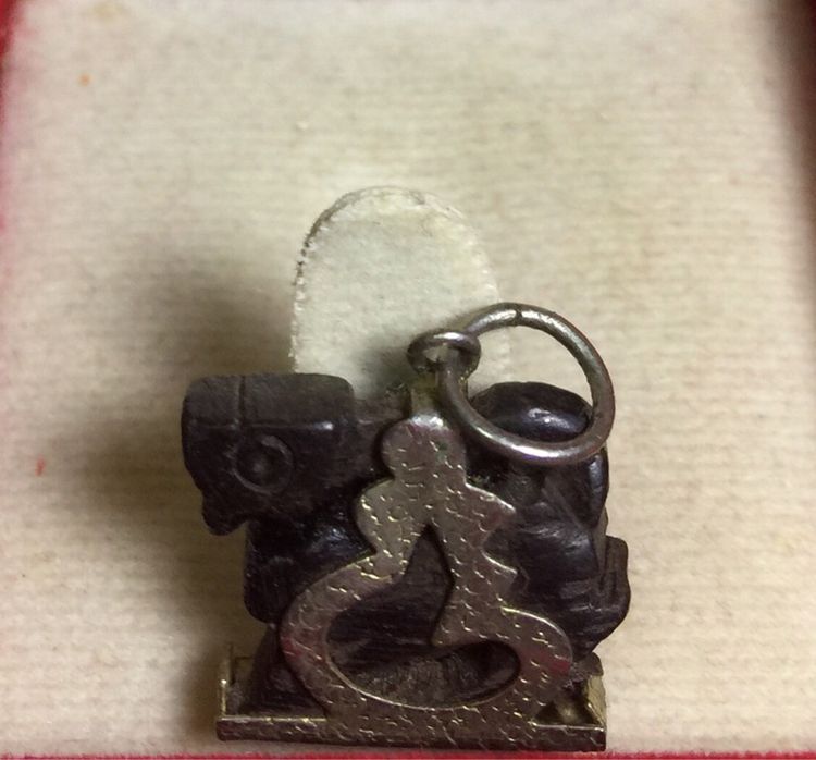 สิงห์ไม้งิ้วดำ รูปที่ 4