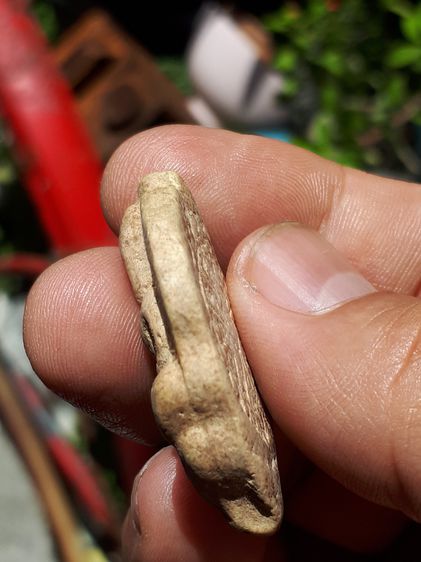 พระโพธิจักร ท่านพ่อลี วัดอโศการาม ปี 2500 หลังยันต์ดวง เนื้อผง มีมวลสาร พิมพ์คมชัด ผิวแห้ง เดิมๆ เป็นธรรมชาติ สภาพสมบูรณ์ สวยมาก เก่า แท้ หา รูปที่ 5