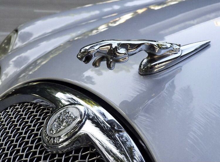 โลโก้จากัวร์ หัวเสือ Logo Jaguar ฝากระโปรงหน้า ใส่ S Type X Type Sovereign Daimler XF XJ XJR รูปที่ 3