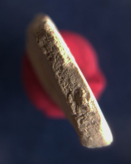 สมเด็จบางขุนพรหม 09 พิมพ์อกครุฑใหญ่ หลังตรายาง พร้อมใบประกาศที่ 4 รูปที่ 5