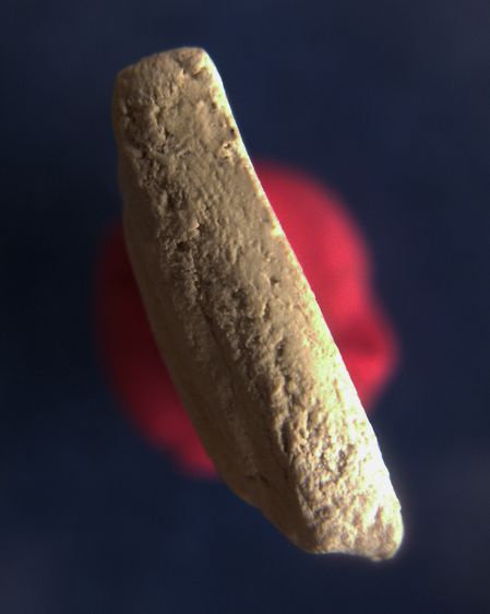 สมเด็จบางขุนพรหม 09 พิมพ์อกครุฑใหญ่ หลังตรายาง พร้อมใบประกาศที่ 4 รูปที่ 6