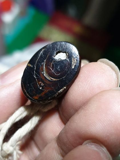 เสือ ไม่ทราบที่ เก่า สวยมาก รูปที่ 9