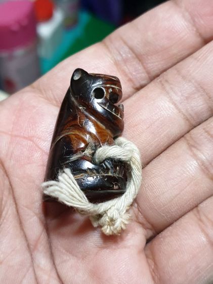 เสือ ไม่ทราบที่ เก่า สวยมาก รูปที่ 16