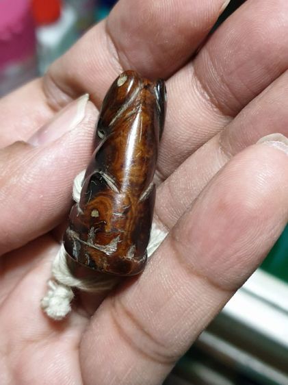 เสือ ไม่ทราบที่ เก่า สวยมาก รูปที่ 13