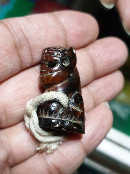 เสือ ไม่ทราบที่ เก่า สวยมาก รูปที่ 6