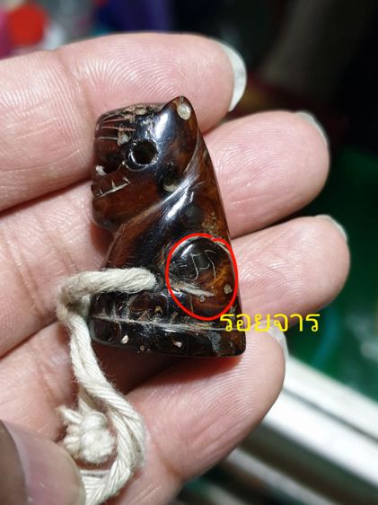 เสือ ไม่ทราบที่ เก่า สวยมาก รูปที่ 2