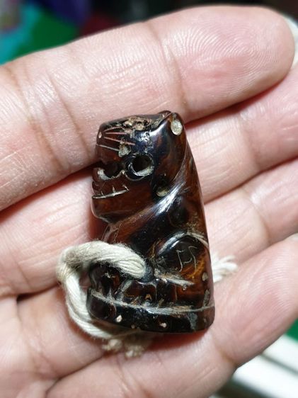 เสือ ไม่ทราบที่ เก่า สวยมาก รูปที่ 15