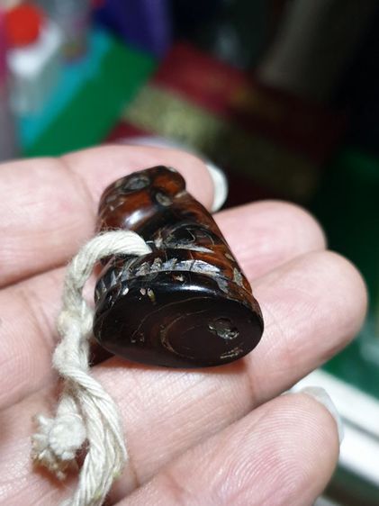 เสือ ไม่ทราบที่ เก่า สวยมาก รูปที่ 5