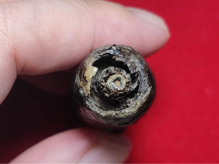 ตะกรุดพอกครั่งพุทรา"หลวงพ่อทองศุข อินทโชโต" รูปที่ 11