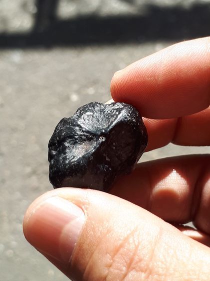 ลูกสวาด ลูกไม้มงคล ขนาดกำลังดี รูปทรงสวย สีดำ เขย่ามีเสียงดัง เป็นธรรมชาติ แท้ เก่า หายาก ลูกสวาดเป็นลูกไม้ที่เกิดจากต้นสวาด ที่ลำต้นมีลักษณ รูปที่ 3