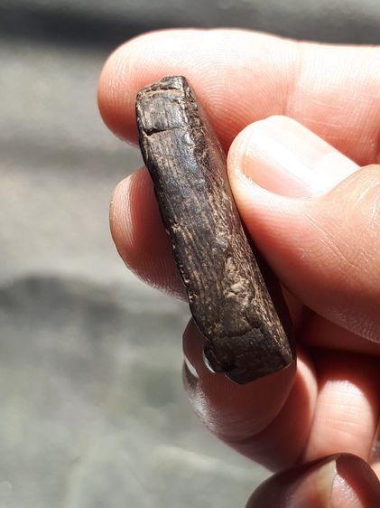 พระกำแพงลีลา เม็ดขนุน เนื้อดิน ดินละเอียดไม่มีเม็ดกรวด เนื้อสีดำหายาก พระปางลีลาพิมพ์คม สวยงาม สมส่วน มองแล้วเหมือนท่านก้าว เก่า แท้ แปลก หา รูปที่ 3