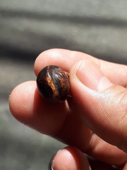 พระปิดตา พิมพ์แข้งหมอน ใหญ่ หลวงปู่จีน วัดท่าลาดเหนือ ฉะเชิงเทรา ปี 2415-2420 หลังอูมเรียบ เนื้อผงคลุกรัก เนื้อแห้ง เหี่ยวย่น มัน พิมพ์คม ชั รูปที่ 13