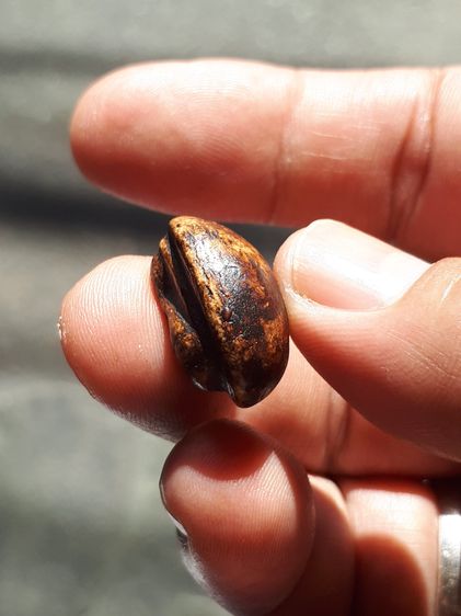 พระปิดตา พิมพ์แข้งหมอน ใหญ่ หลวงปู่จีน วัดท่าลาดเหนือ ฉะเชิงเทรา ปี 2415-2420 หลังอูมเรียบ เนื้อผงคลุกรัก เนื้อแห้ง เหี่ยวย่น มัน พิมพ์คม ชั รูปที่ 11