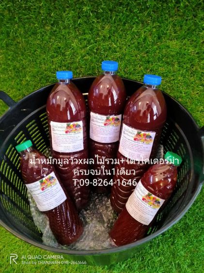 หัวเชื้อน้ำหมักมูลวัวผลไม้รวม ผสมไตรโคเดอร์ม่า รูปที่ 2