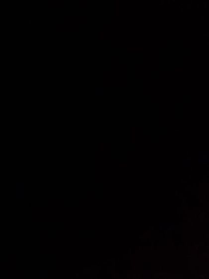 สีพ่น นกแก้ว M45 (กล.) รูปที่ 3