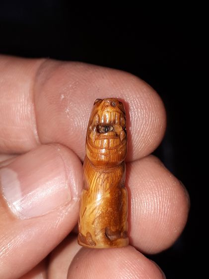 เสือเหลียวหลัง ขนาดประมาณ 1 นิ้ว เขี้ยวแกะ รอยจารที่ตัว เสือมีอายุการสร้างนานกว่า 50 ปี ผิวสีเหลืองน้ำผึงเป็นจั๊มๆ มีลวดลายเป็นธรรมชาติ แห้ง รูปที่ 7