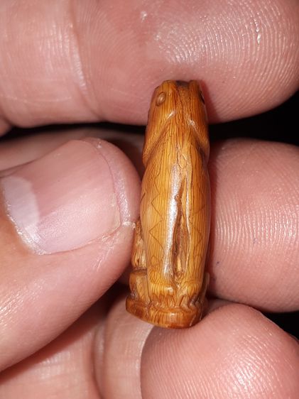 เสือเหลียวหลัง ขนาดประมาณ 1 นิ้ว เขี้ยวแกะ รอยจารที่ตัว เสือมีอายุการสร้างนานกว่า 50 ปี ผิวสีเหลืองน้ำผึงเป็นจั๊มๆ มีลวดลายเป็นธรรมชาติ แห้ง รูปที่ 6