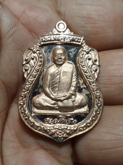 เหรียญหลวงพ่อบุญหนา รุ่นสมปรารถนา ปี54 ชุบนาคสร้าง199องค์ รูปที่ 5