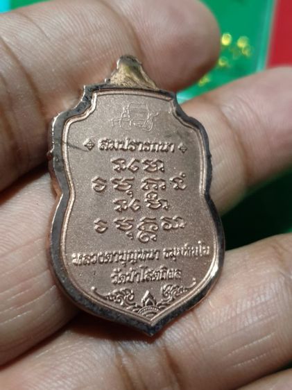 เหรียญหลวงพ่อบุญหนา รุ่นสมปรารถนา ปี54 ชุบนาคสร้าง199องค์ รูปที่ 9