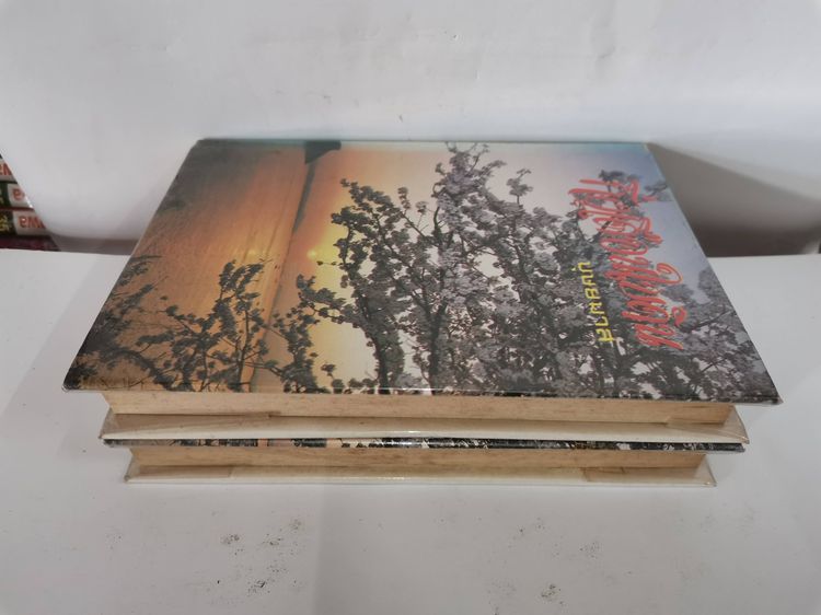 กิ่งเดือน-ใบดิน	บุษยมาส	1-2จ รูปที่ 4