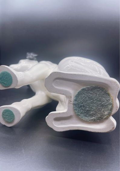 หมาNipper  รูปที่ 6