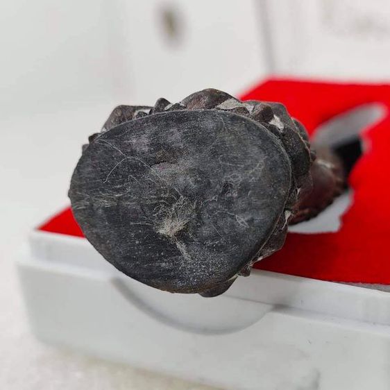 พระกริ่งเจริญพร รุ่นโภคทรัพย์ไพศาลี รูปที่ 3