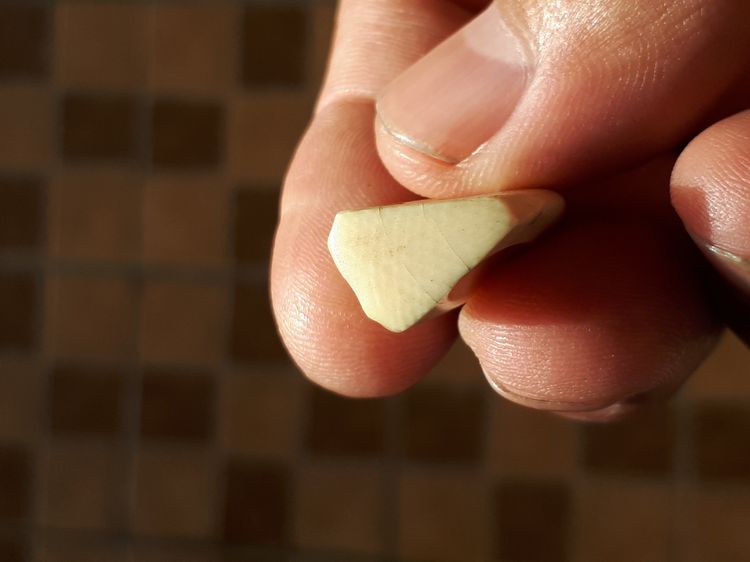 Rช้าง สีเหลืองฉ่ำ ผิวมัน มีลายเป็นธรรมชาติ ขนาดประมาณ 2.5 cm จะมีลักษณะเนื้อระเอียด ทรงสวยมาก มันเงา เก่า แท้ และหายาก      พุทธคุณเด่นทางด้ รูปที่ 6