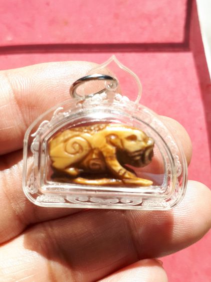 หมู เขี้ยวหมูตันแกะ เนื้อแน่น ผิวเดิม จารมือที่ฐาน ขอบไม่คม ผิวออกเหลืองอมเขียว เป็นธรรมชาติ ศิลปะการแกะอย่างสวย สร้างน้อย หายาก สภาพสวยสมบู รูปที่ 4